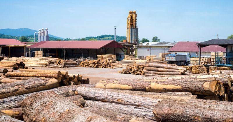 Freepik/aleksandarlittlewolf