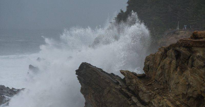 Pexel/Stephen Pierce