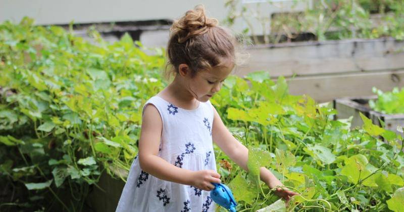 Pexels/Maggie My Photo Album