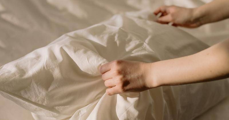 Pexels/cottonbro studio