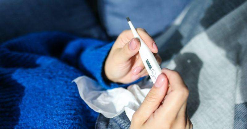 Pexels.com/Polina Tankilevitch