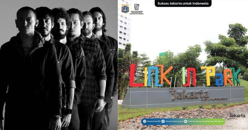 Instagram.com/tamanhutandki