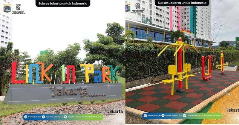 Instagram.com/tamanhutandki