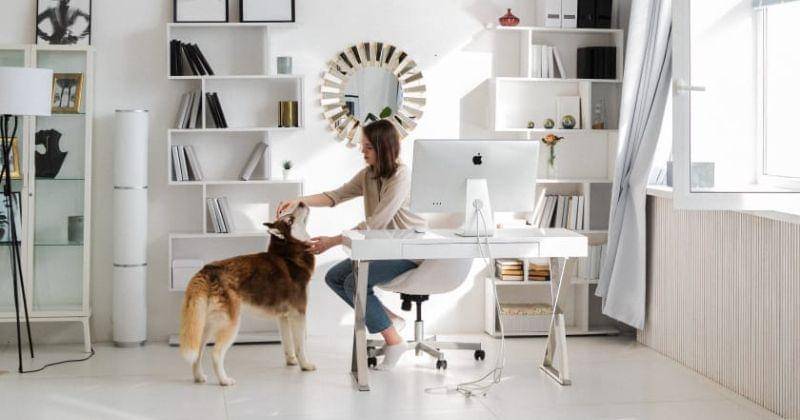 Pexels/EKATERINA BOLOVTSOVA