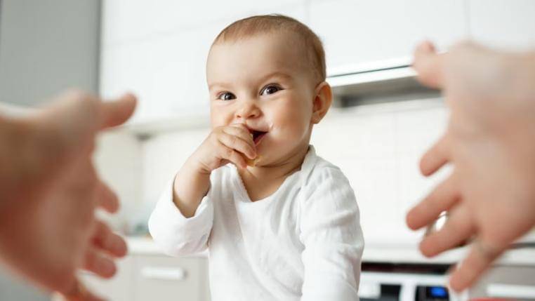 Freepik/cookie-studio