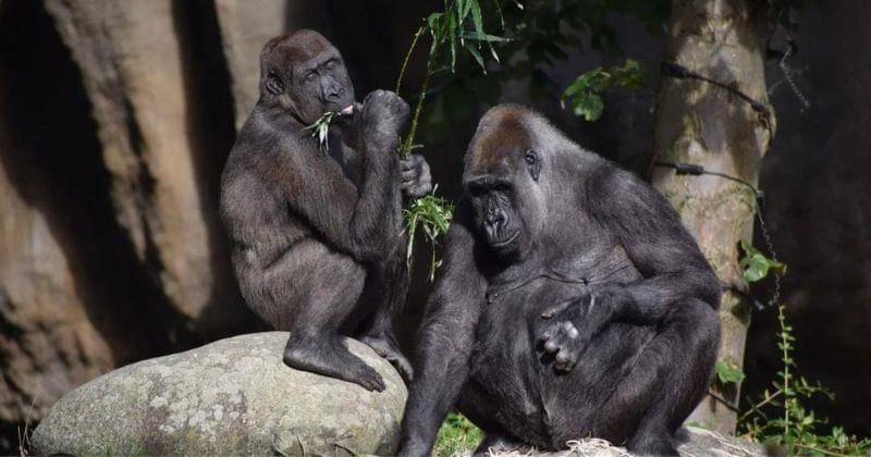 Instagram.com/agedupuy