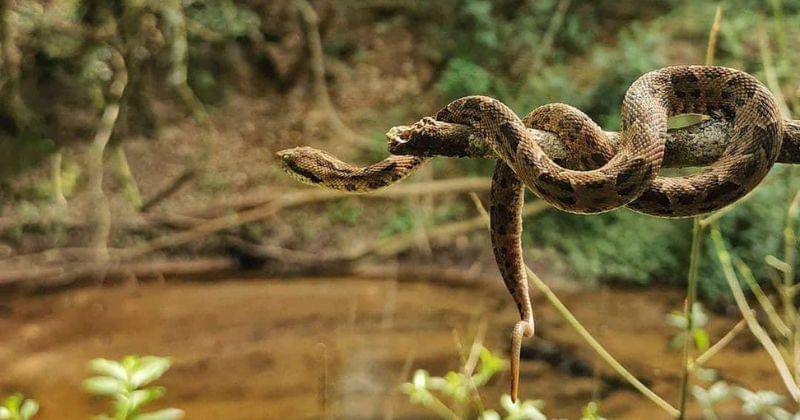 Instagram.com/itapua_en_fotografias