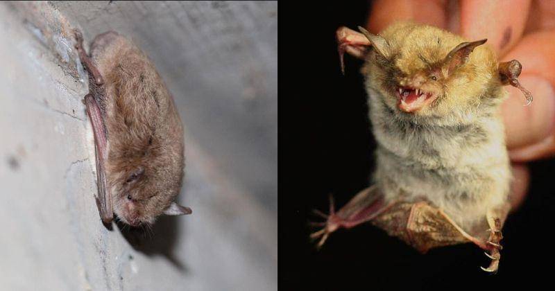 Instagram.com/fightwns/estuarypartnership