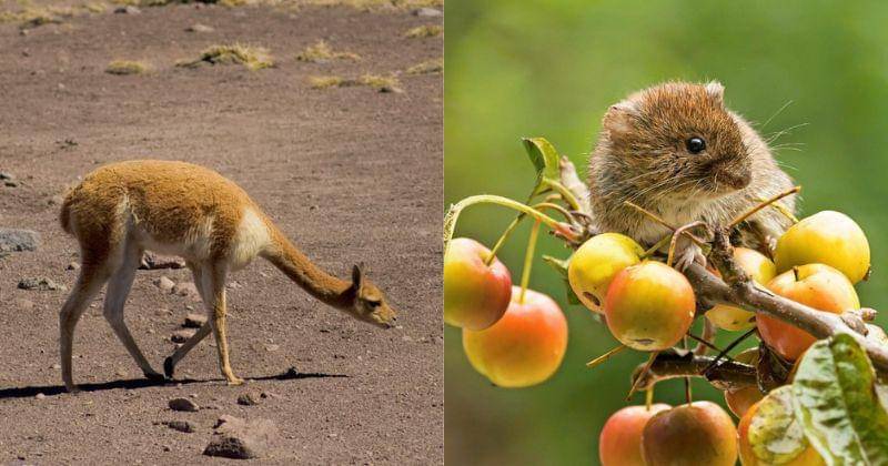 Pexels/tommaso picone/Instagram.com/britishexpatsdubai