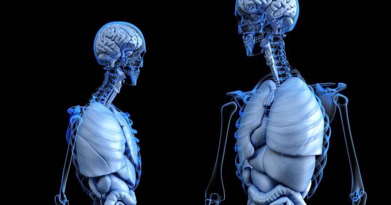 Pixabay/www_slon_pics