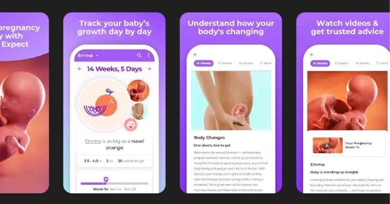 Playstore/whattoexpect