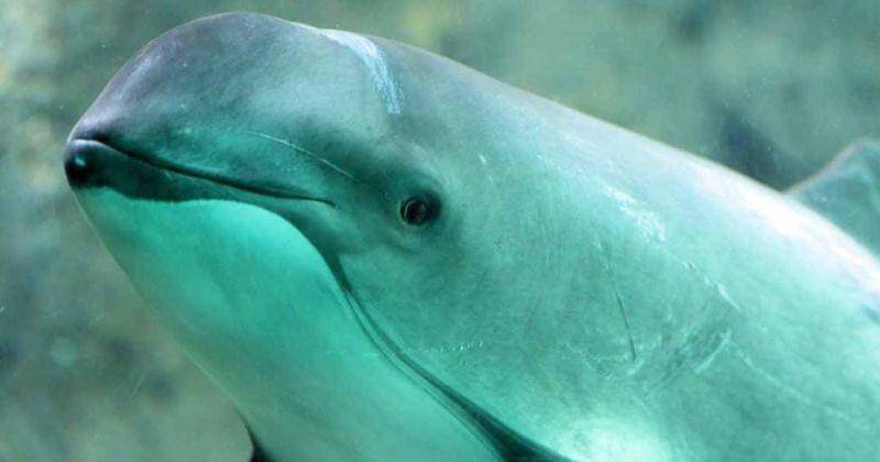 Instagram.com/angariocean