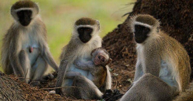 Instagram.com/scottyhmanphoto