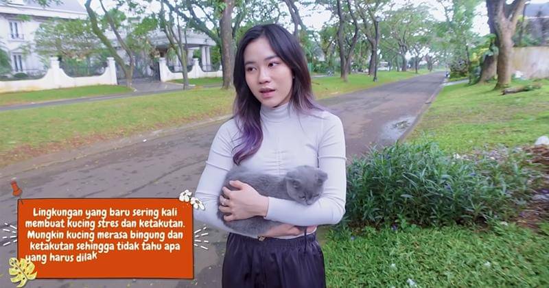 Youtube.com/Jessica Jane