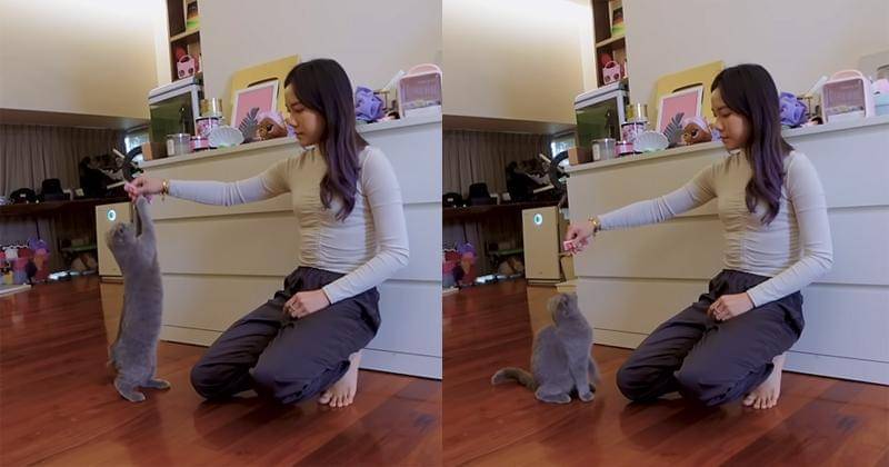 Youtube.com/Jessica Jane