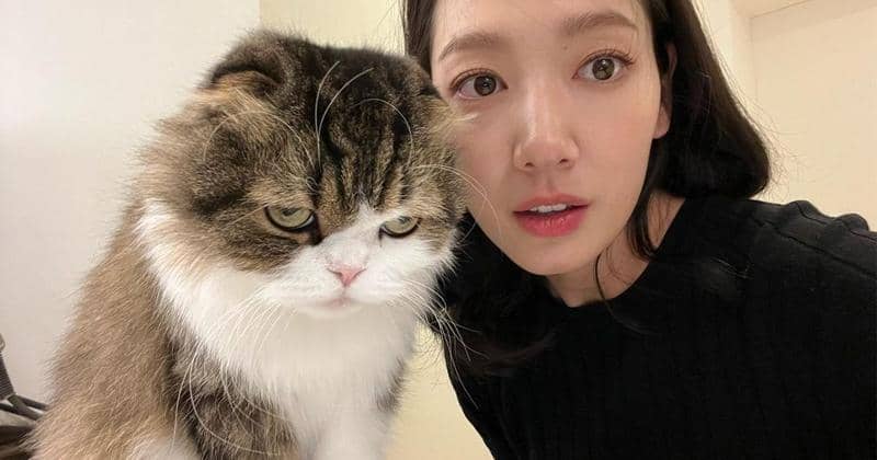 Instagram.com/ssinz7