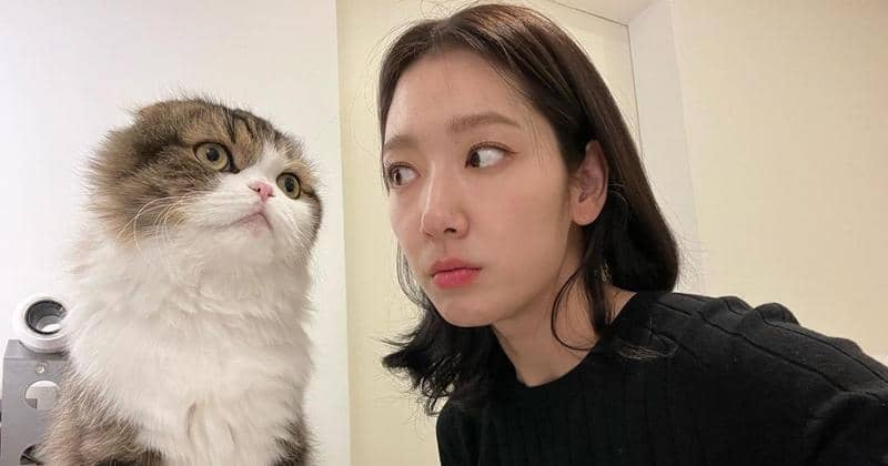 10 Foto Akrab Park Shin Hye Bersama Kucingnya, Gemas Banget