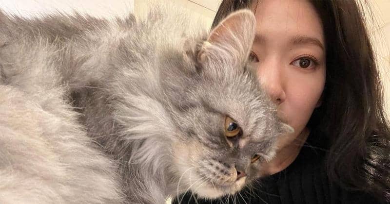 Instagram.com/ssinz7