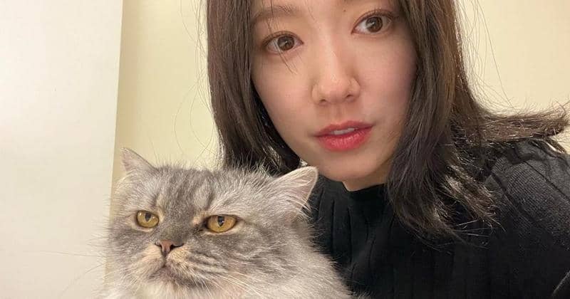 Instagram.com/ssinz7