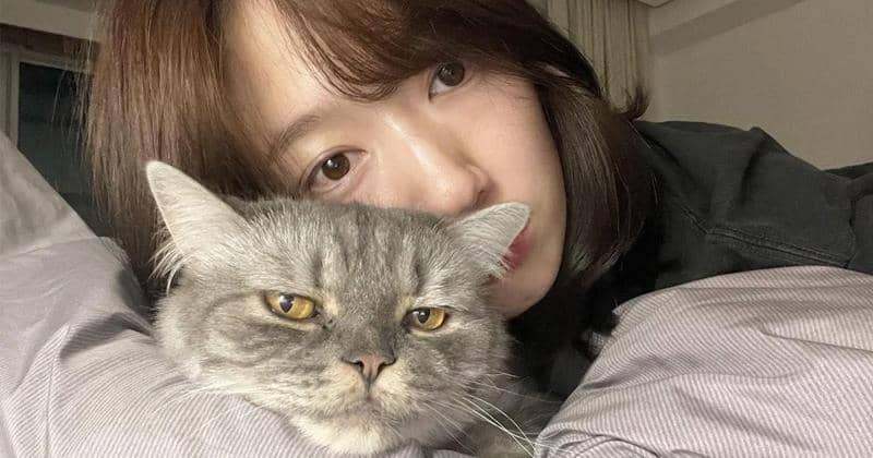 Instagram.com/ssinz7