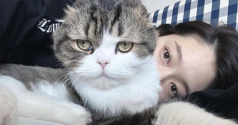 Instagram.com/ssinz7