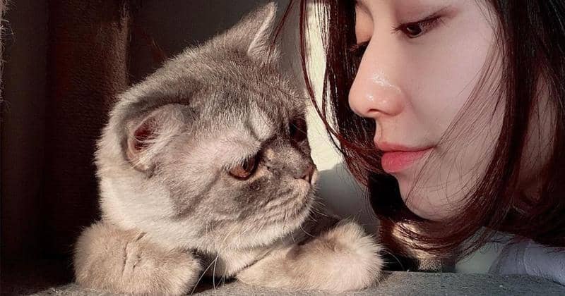 Instagram.com/ssinz7