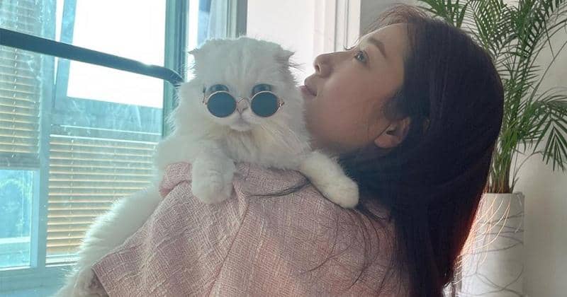 Instagram.com/ssinz7