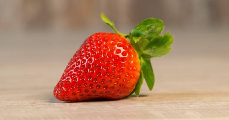 Pexels/Ylanite Koppens