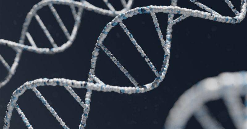 Unsplash/Warren Umoh