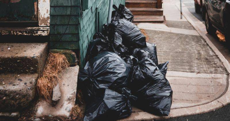 Pexels/introspectivedsgn