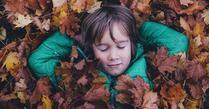 Unsplash/anniespratt