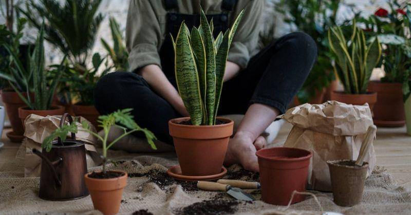 Pexels/cottonbro studio