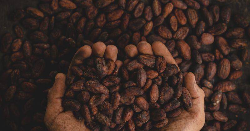 Unsplash/pablomerchanm