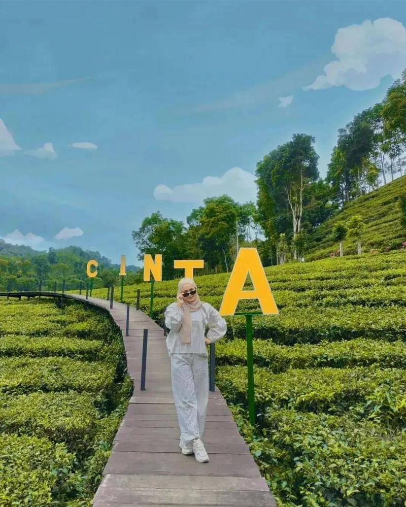 Instagram.com/pesona_alam.idn