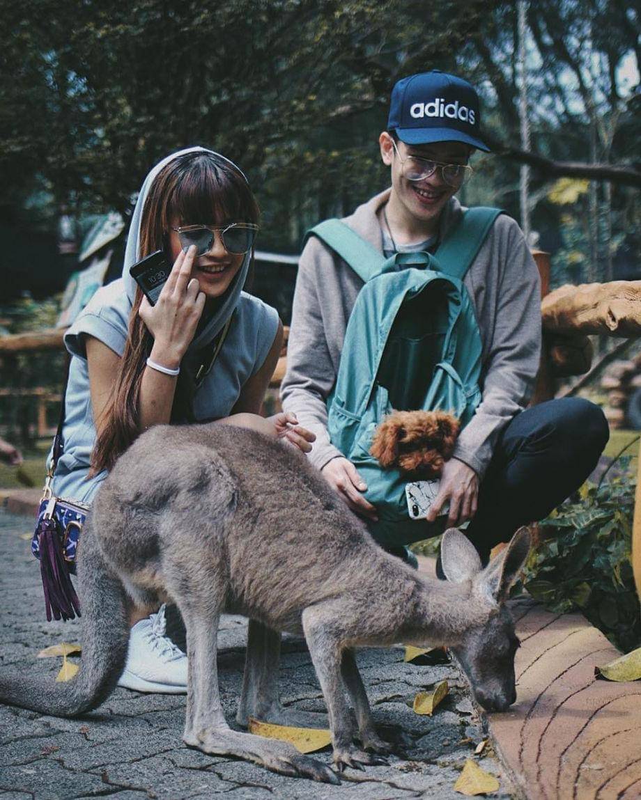 Instagram.com/julianjacs