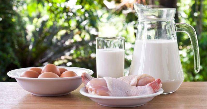 Freepik/zirconicusso