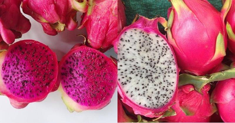 Pixabay.com/Gracia31&Pixabay.com/brendawood33