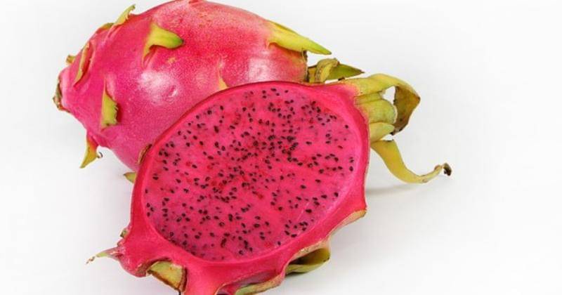 Pixabay.com/varintorn