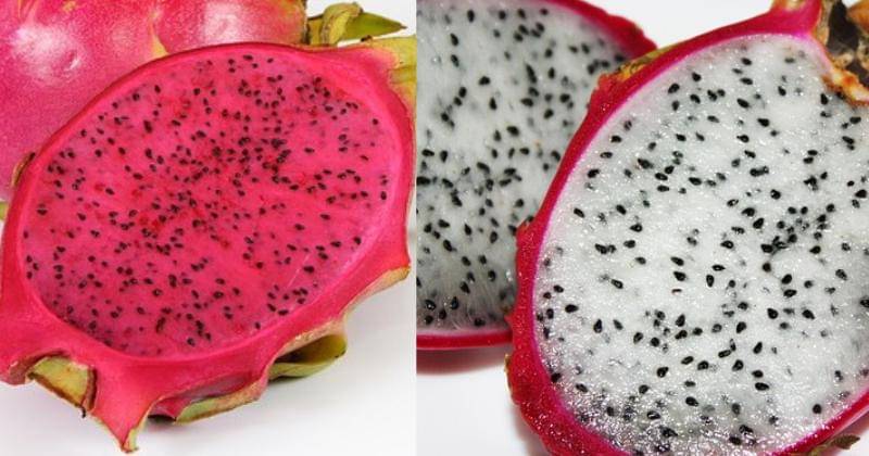 Pixabay.com/varintorn&Pixabay.com/GoPlaces