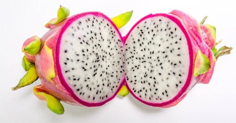 Pixabay.com/GoPlaces