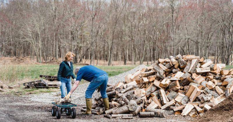 Pexels/Greta Hoffman