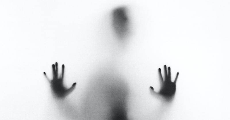 Unsplash/Stefano Pollio