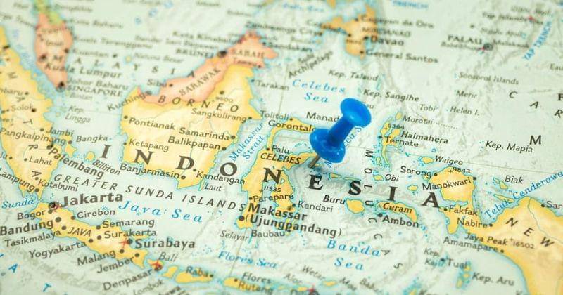 Freepik/FellowNekocat