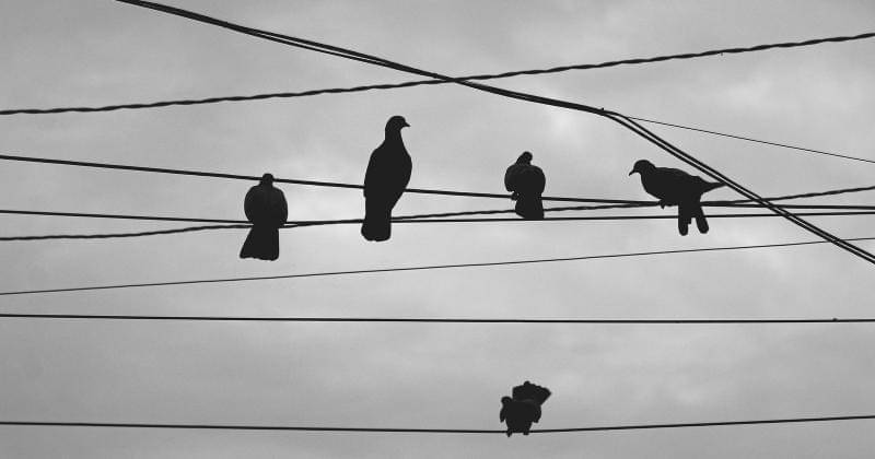 Unsplash/Marwan Ahmed