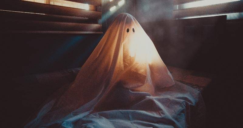 Pexels/Ryan Miguel Capili