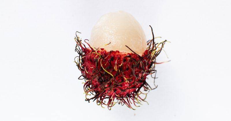 Pexels.com/Orsys _tography