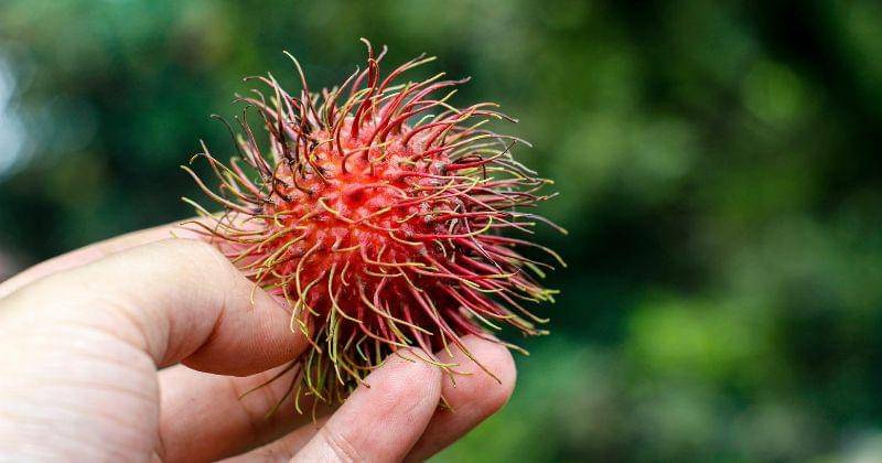 Pexels.com/Said Zuzawarsyah