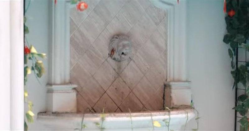 YouTube.com/The Hermansyah A6