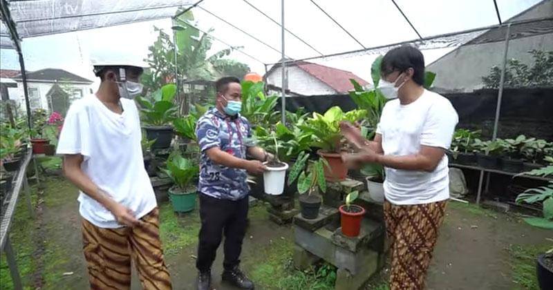 YouTube.com/TAULANY TV