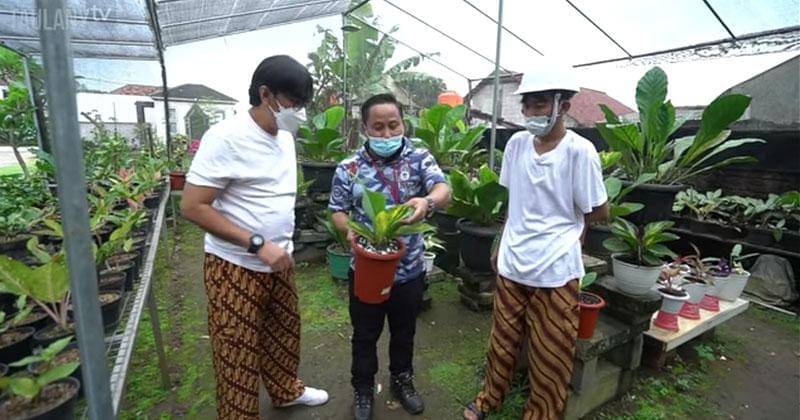 YouTube.com/TAULANY TV